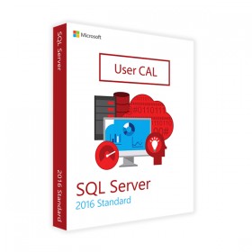 MICROSOFT SQL SERVER STANDARD 2016 - 10 BRUGER CAL