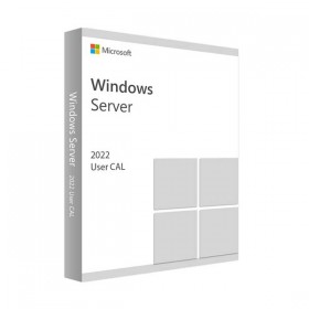 WINDOWS SERVER 2022 - 10 USER CALS