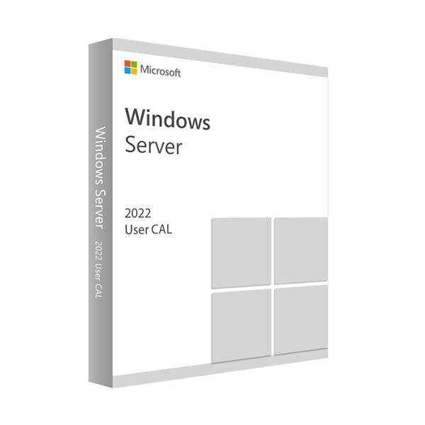 WINDOWS SERVER 2022 - 10 BENUTZER CALS