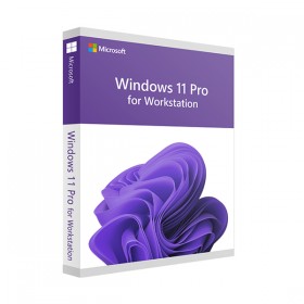 Windows 11 Pro Workstationille