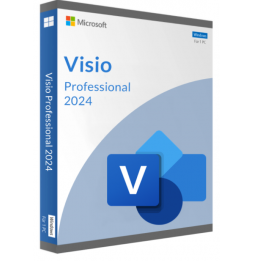 MICROSOFT VISIO PROFESIONAL 2024 (WINDOWS)