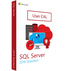 MICROSOFT SQL SERVER STANDARD 2016 - 10 NAUDOTOJO CAL
