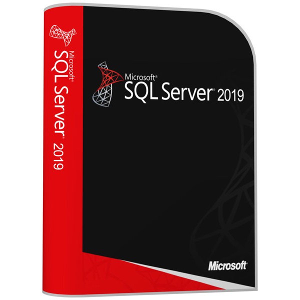 WINDOWS SQL SERVER 2019 STANDARD - ĮSKAITANT CALS LICENCIJAS