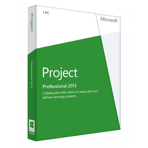 MICROSOFT PROJECT PROFESSIONAL 2013 (WINDOWS)