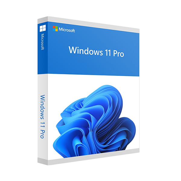 MICROSOFT WINDOWS 11 PROFESSIONNEL